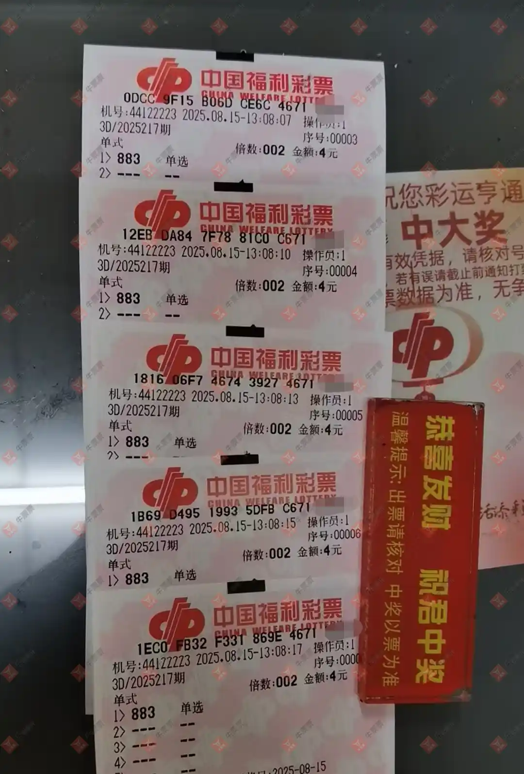 牛票票