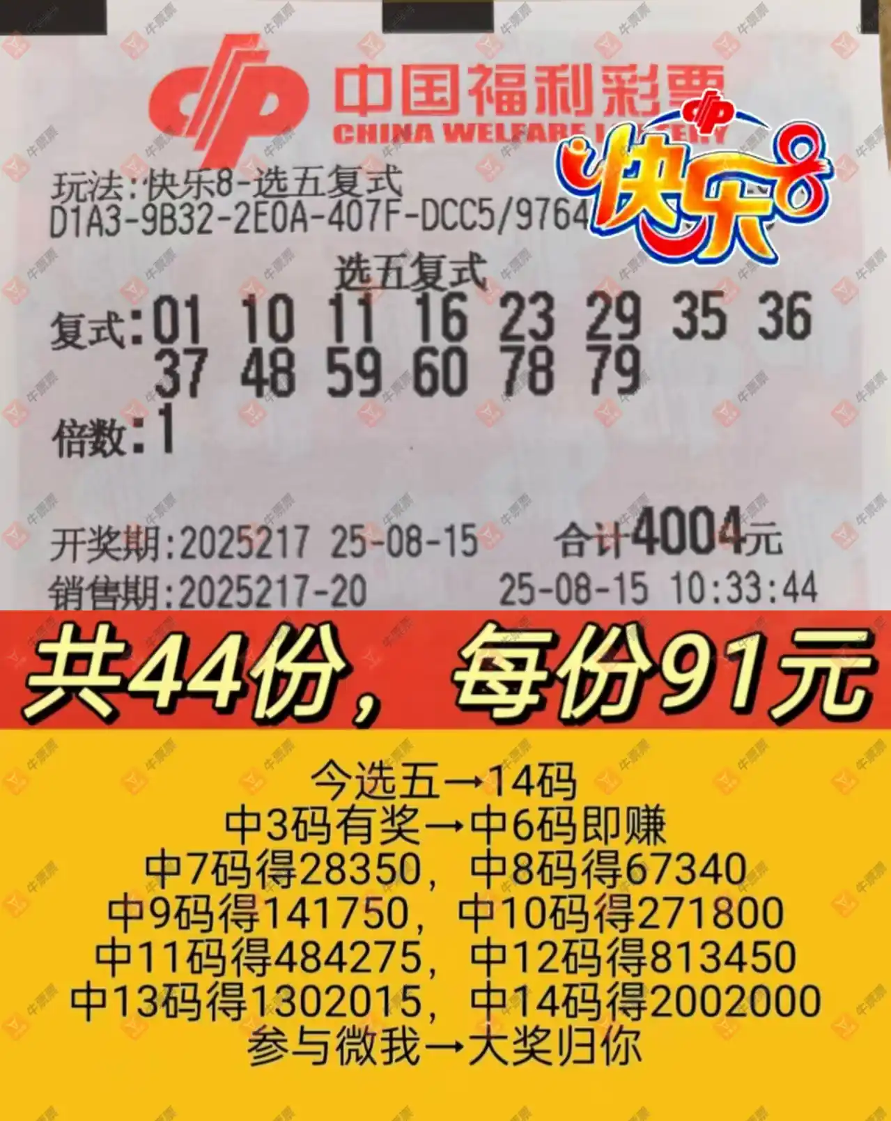 牛票票