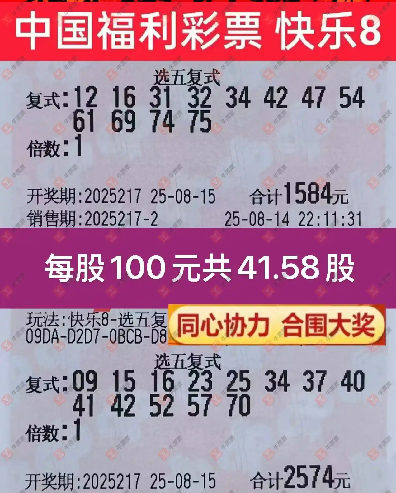 牛票票