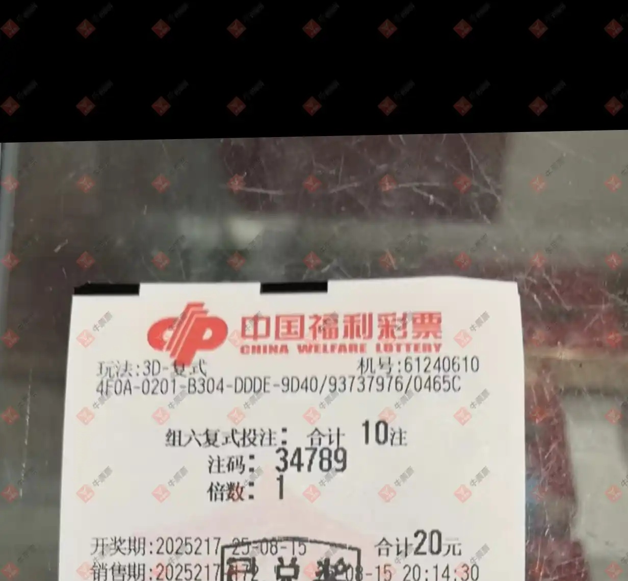 牛票票