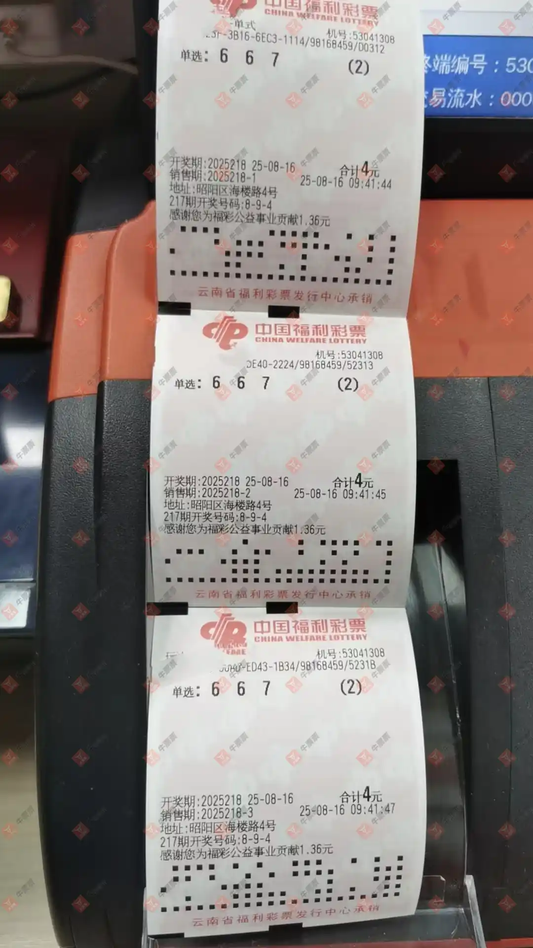牛票票