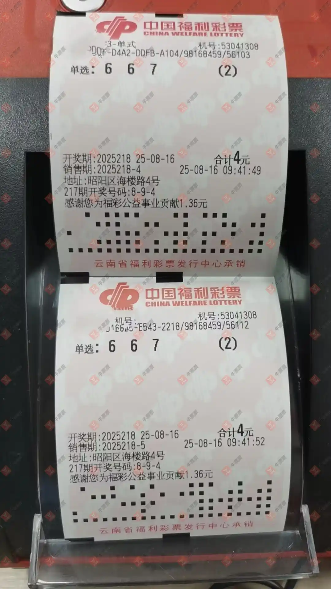 牛票票