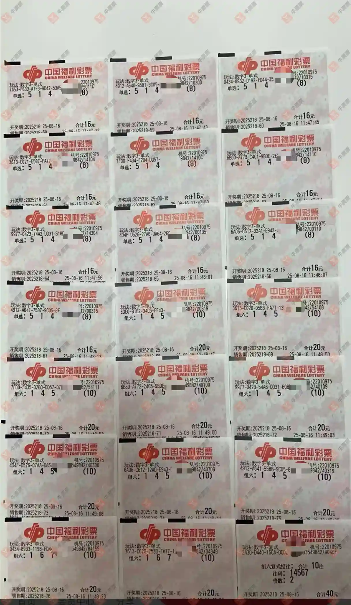 牛票票