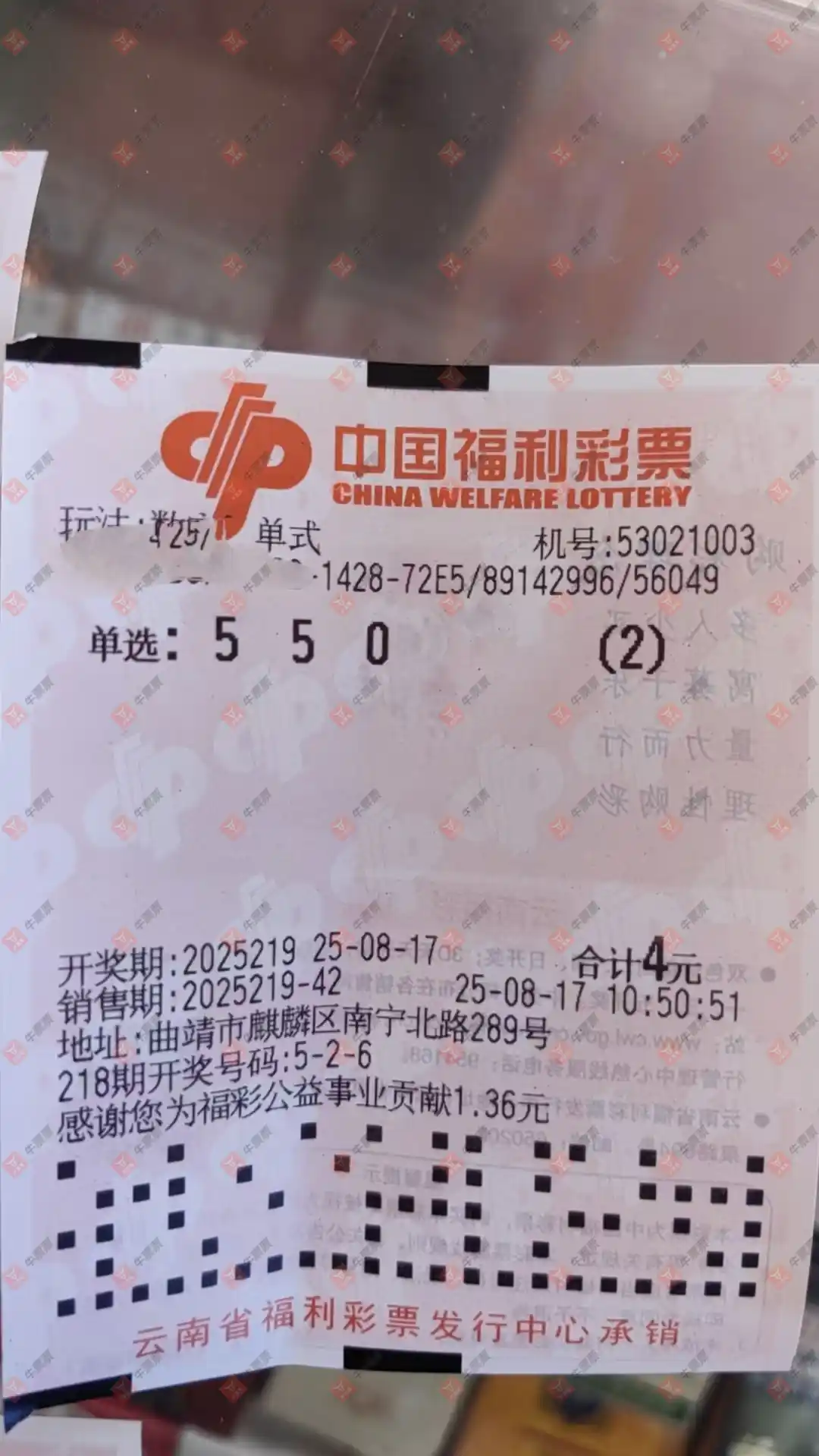 牛票票