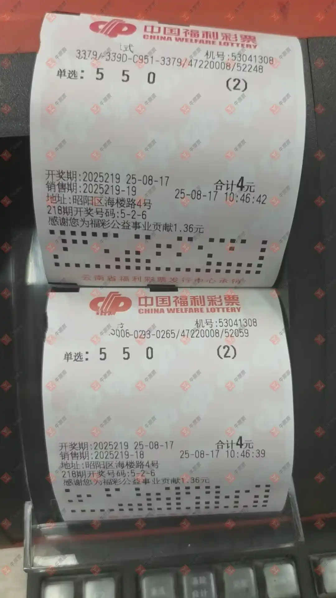 牛票票