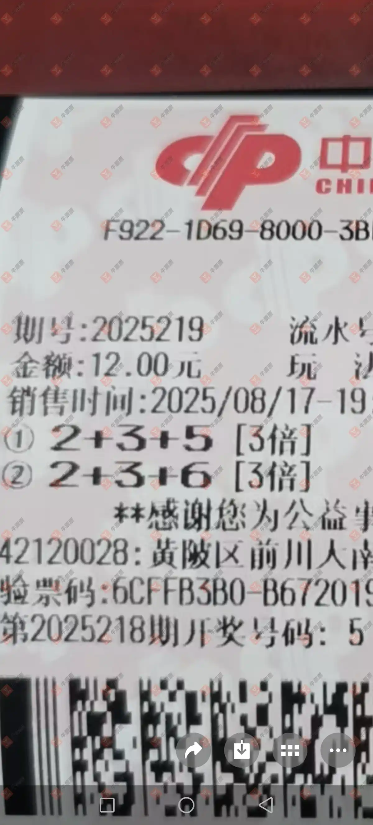 牛票票