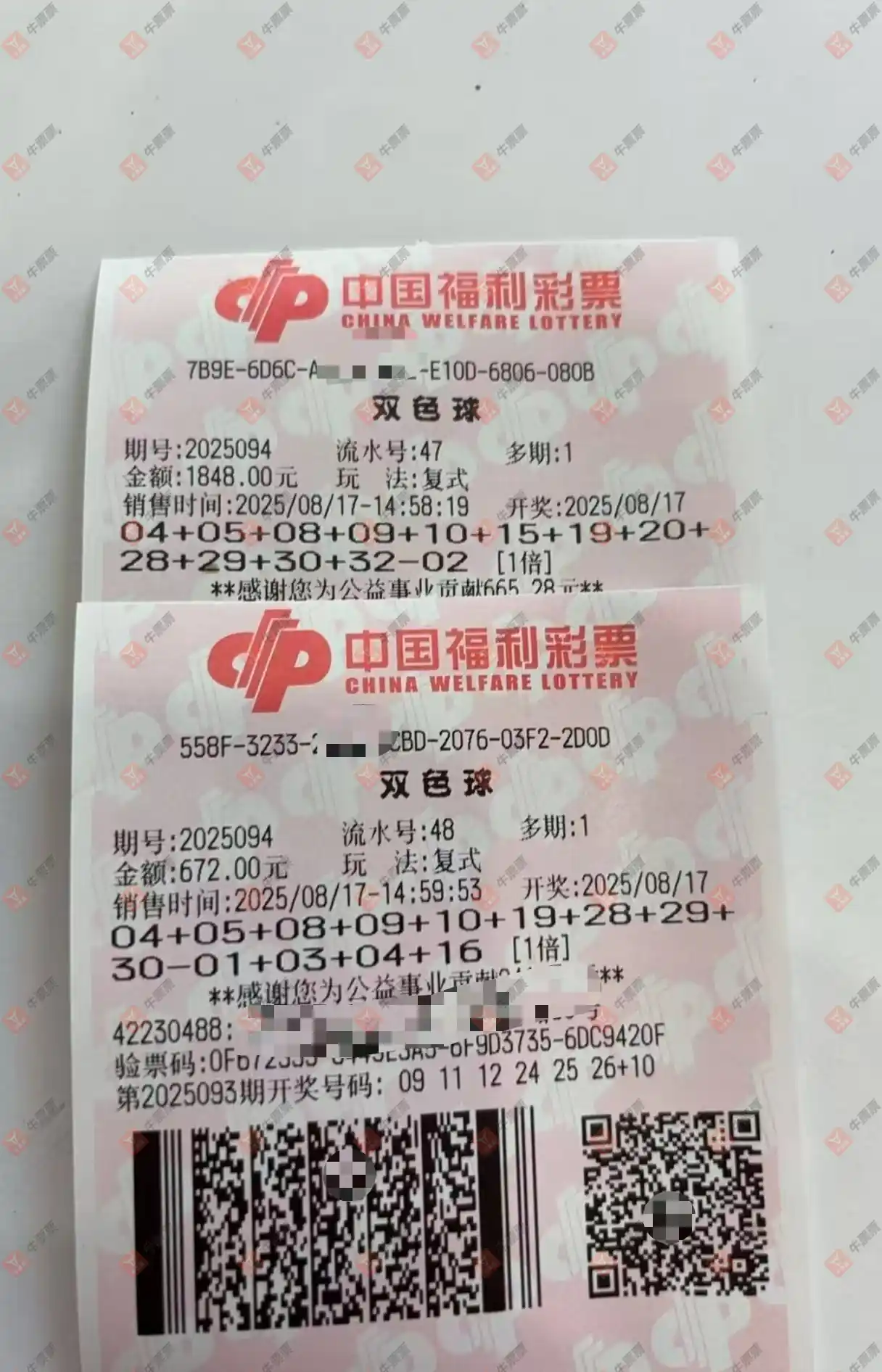 牛票票