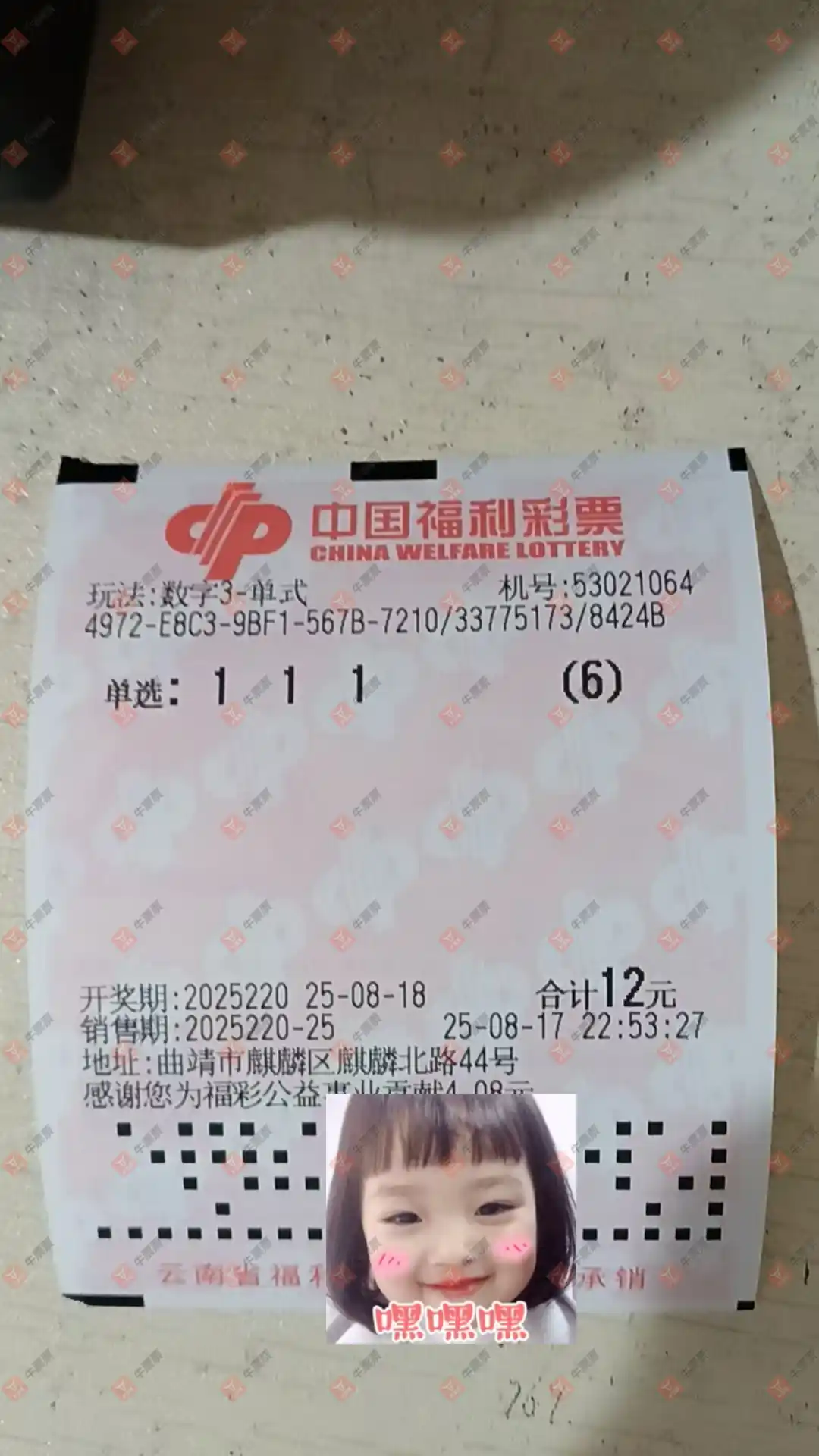 牛票票