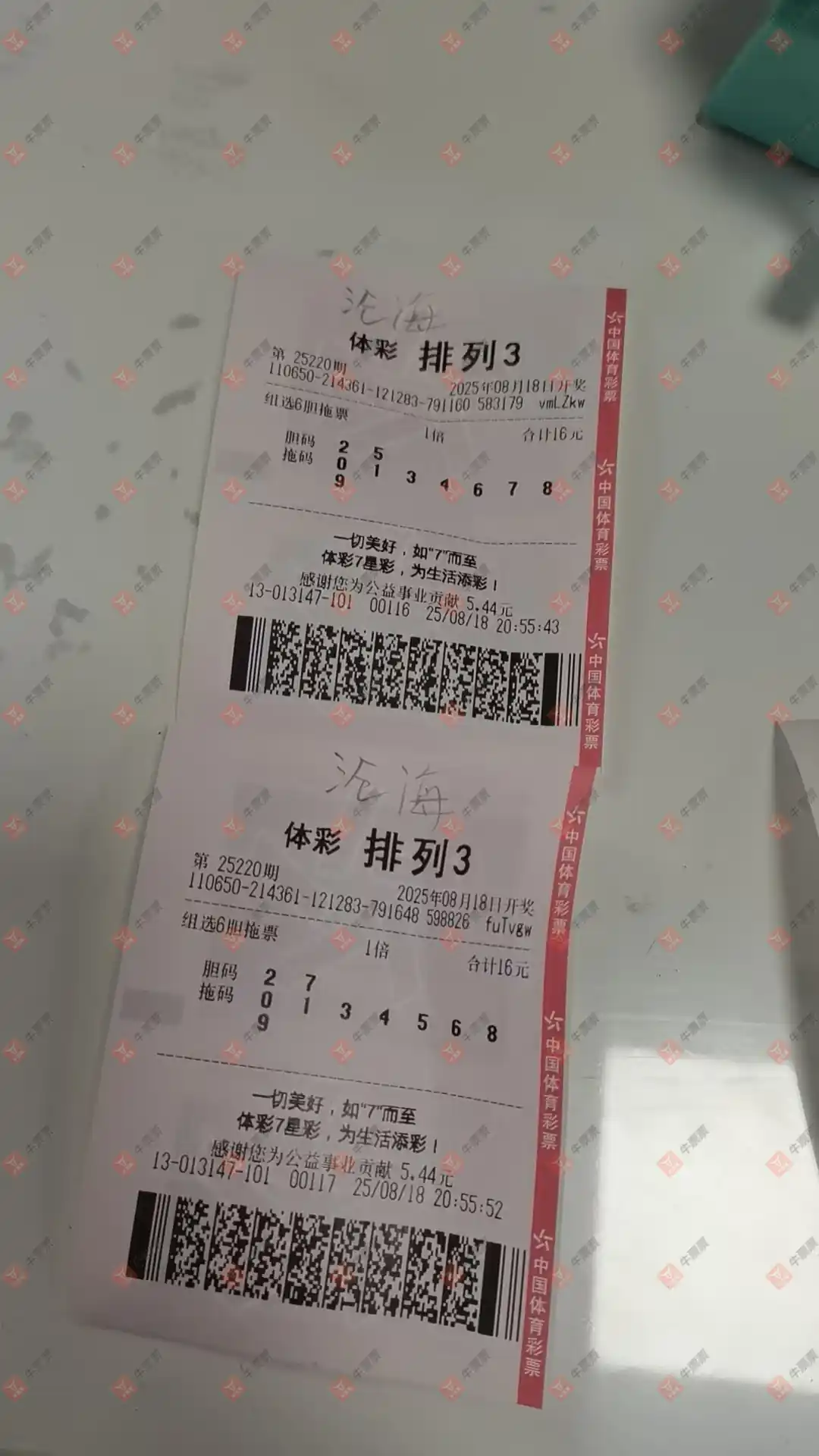 牛票票