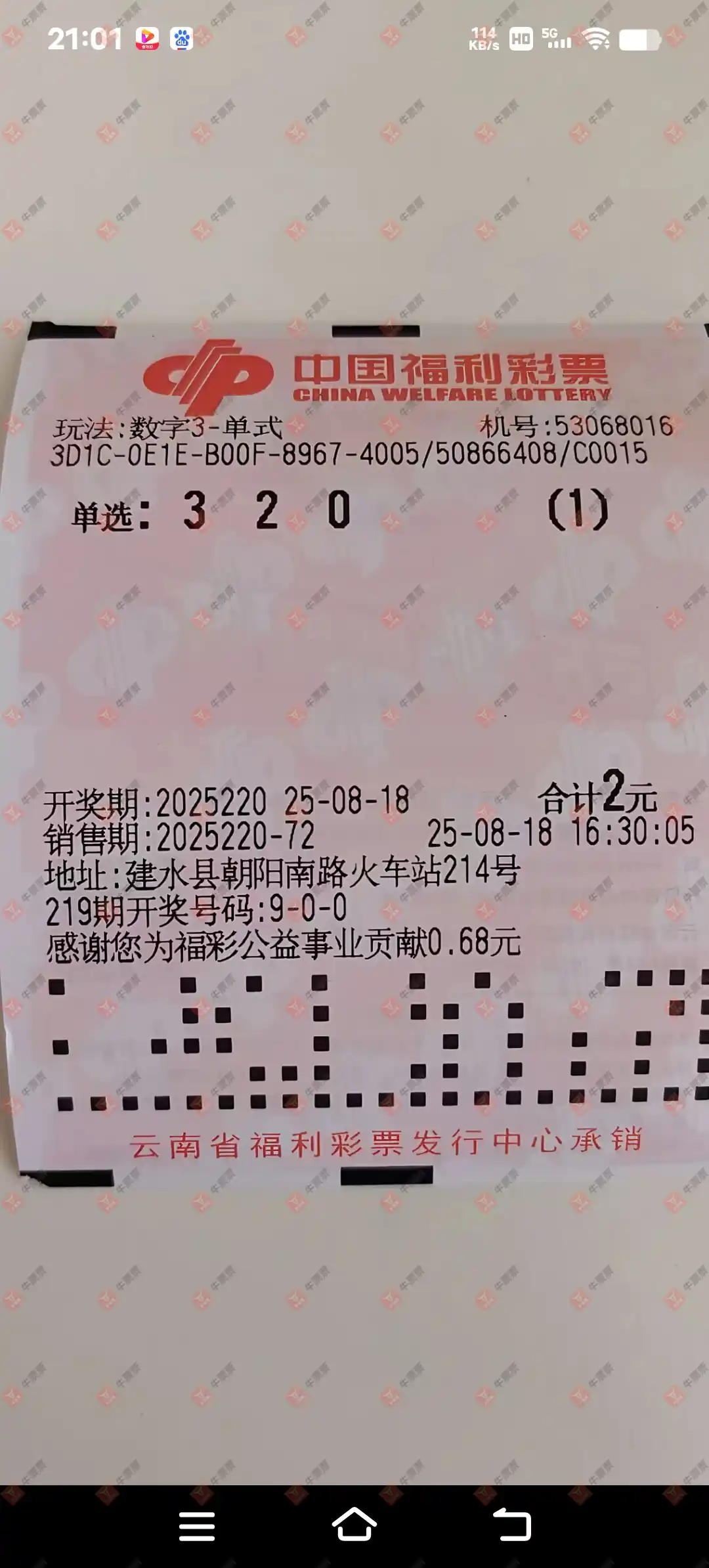 牛票票