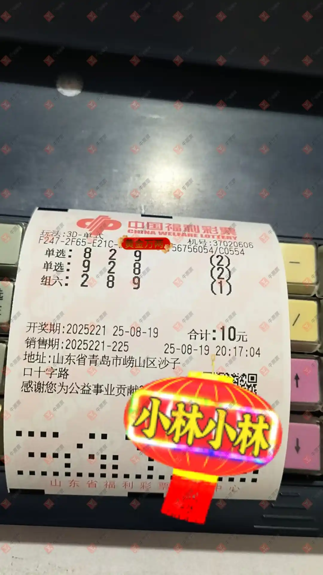 牛票票
