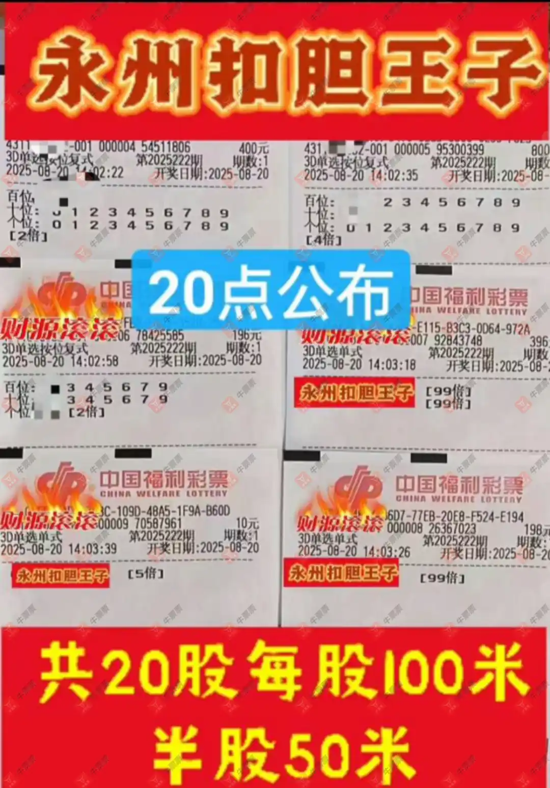 牛票票