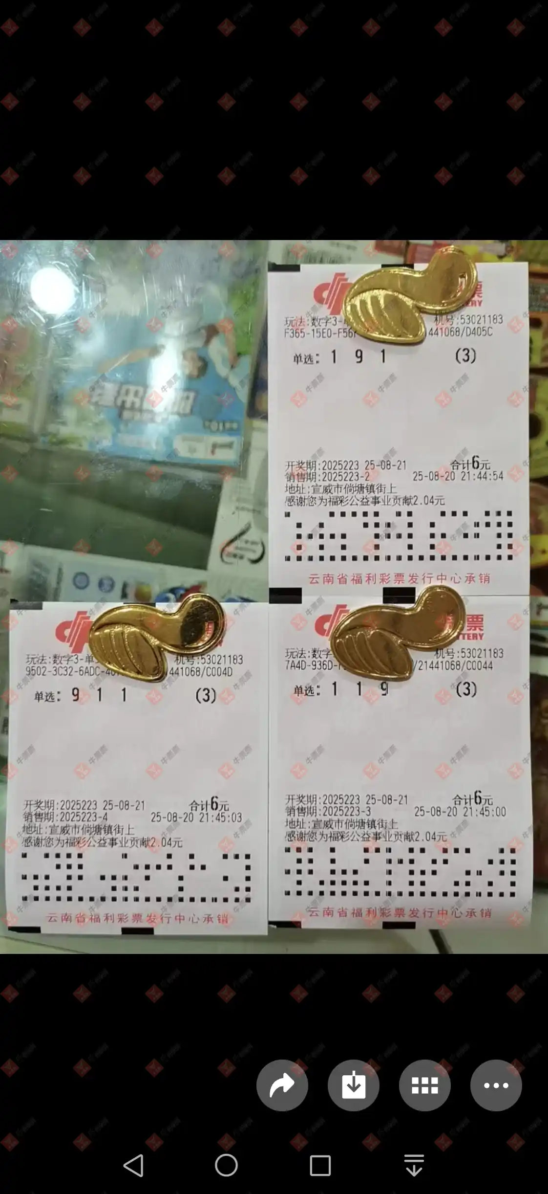 牛票票