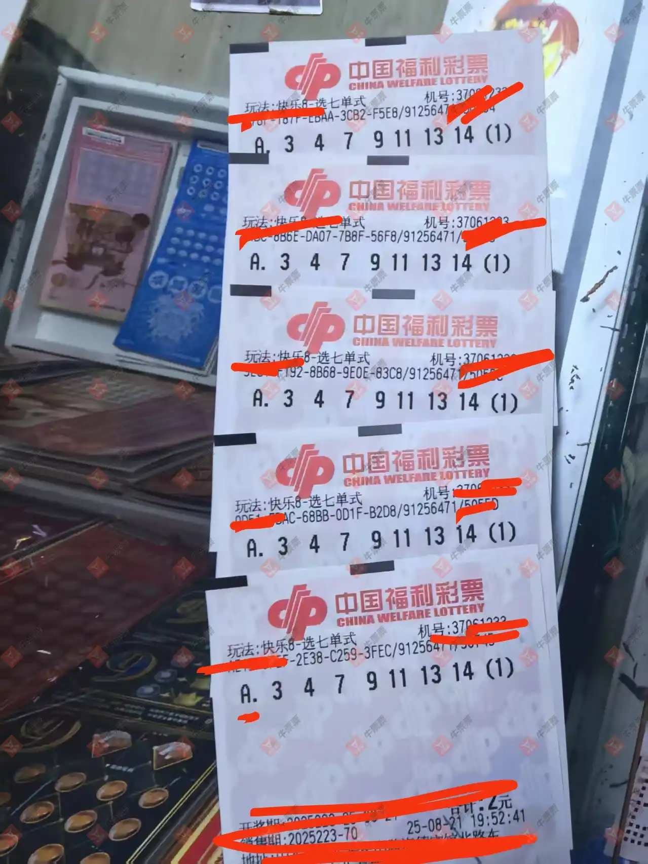 牛票票