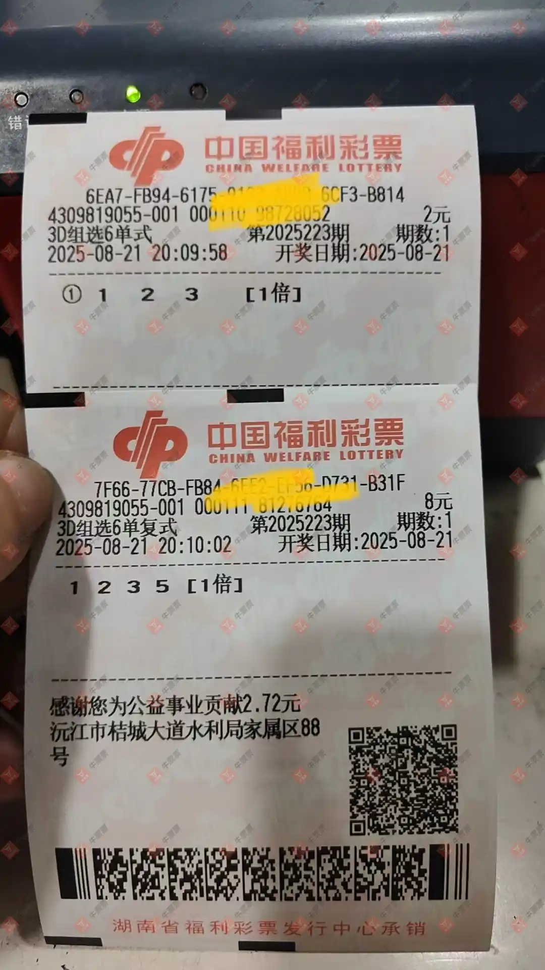 牛票票