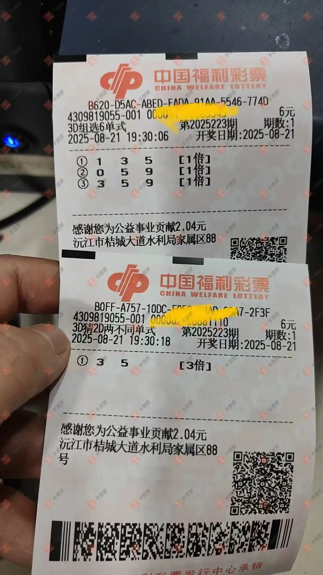 牛票票