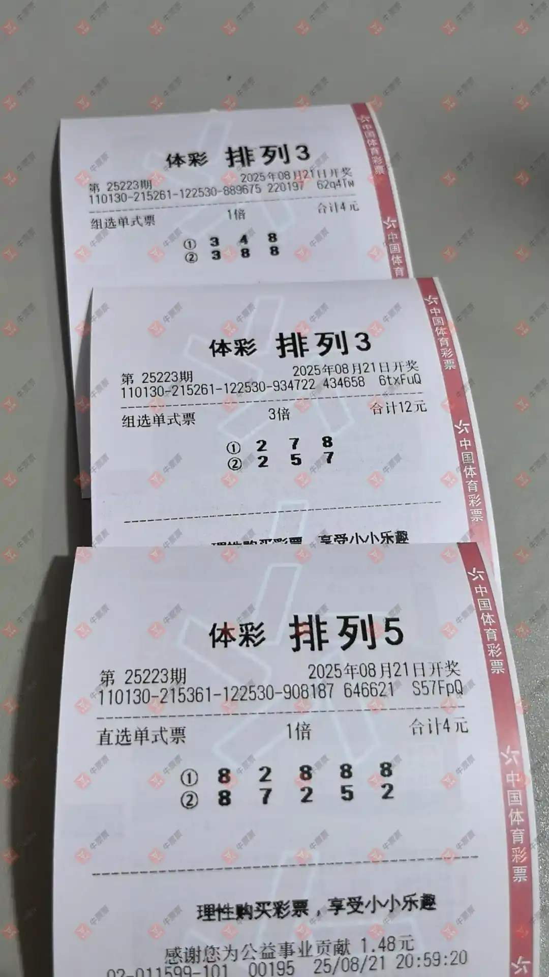牛票票