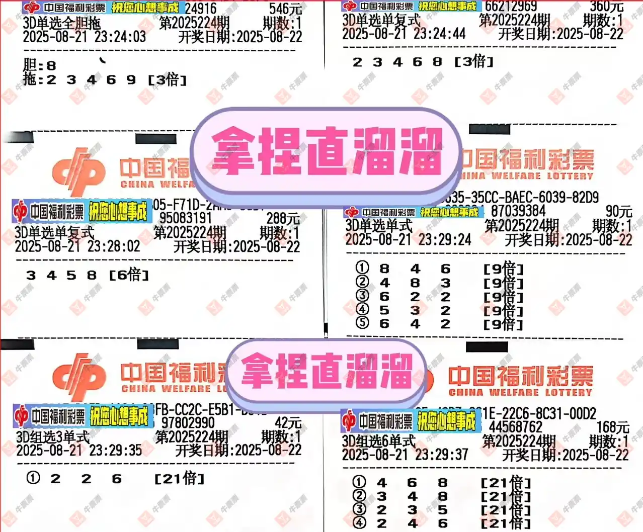 牛票票