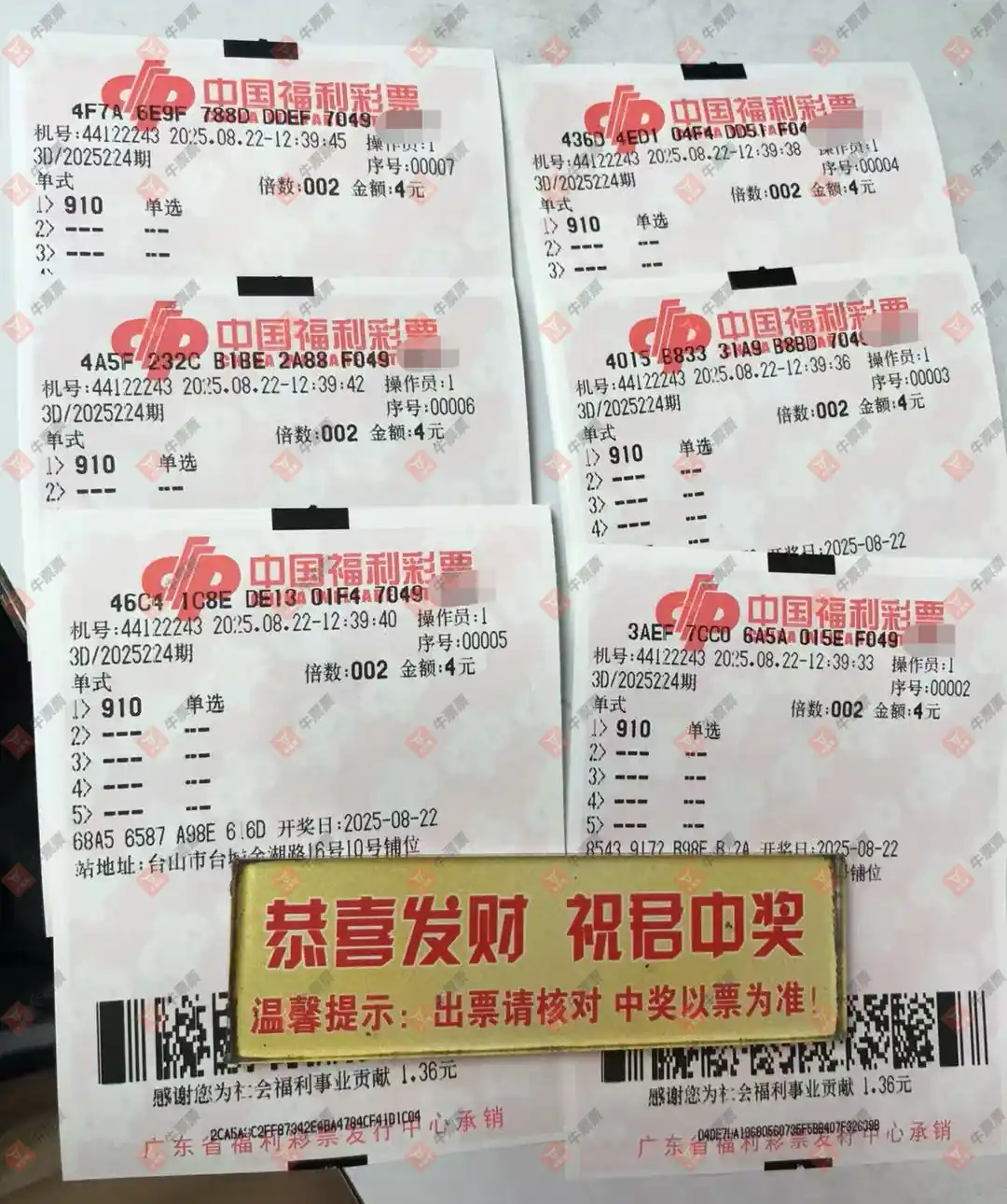 牛票票