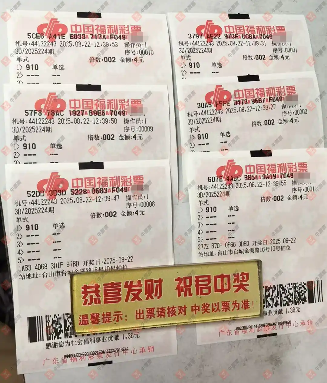 牛票票