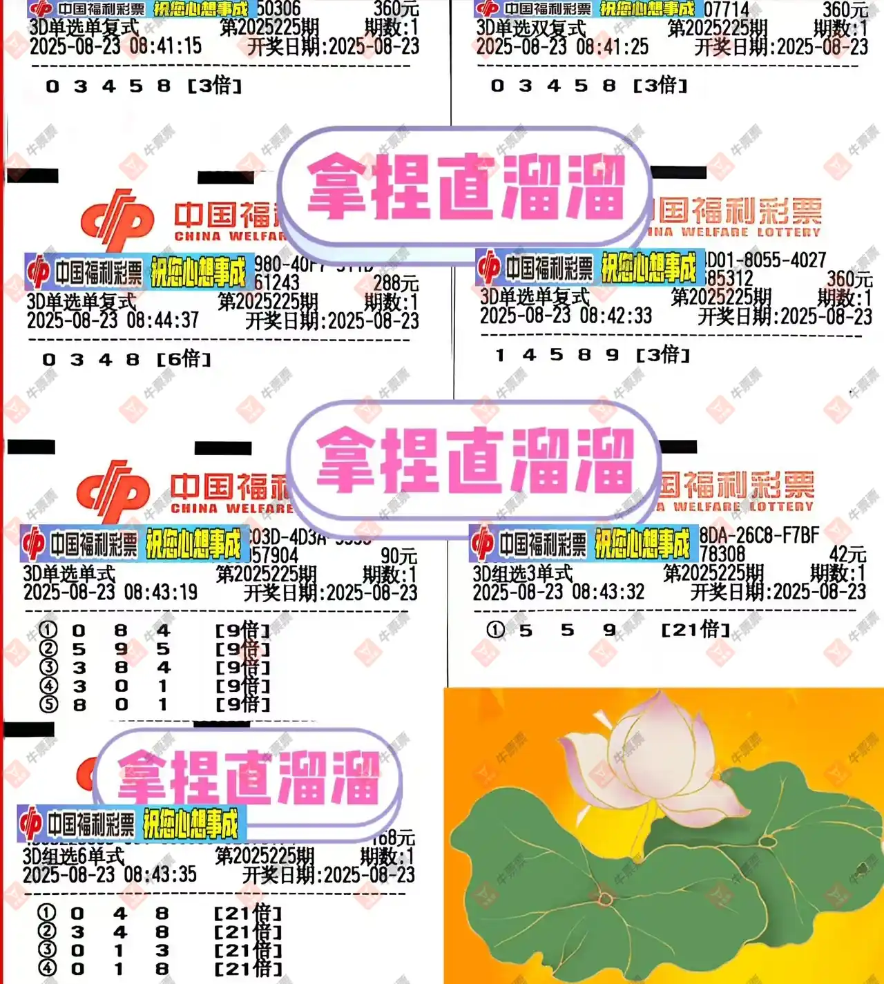 牛票票
