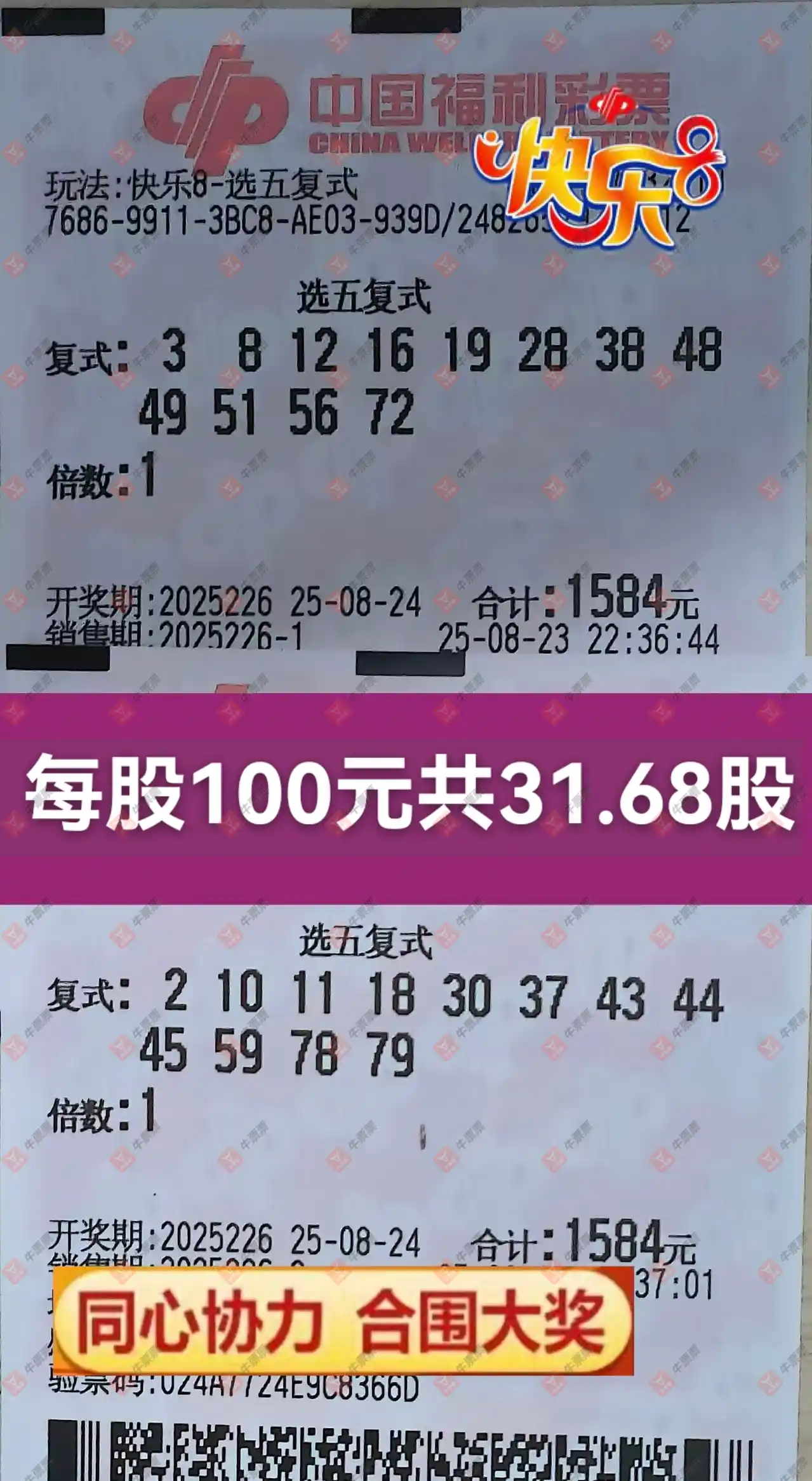 牛票票