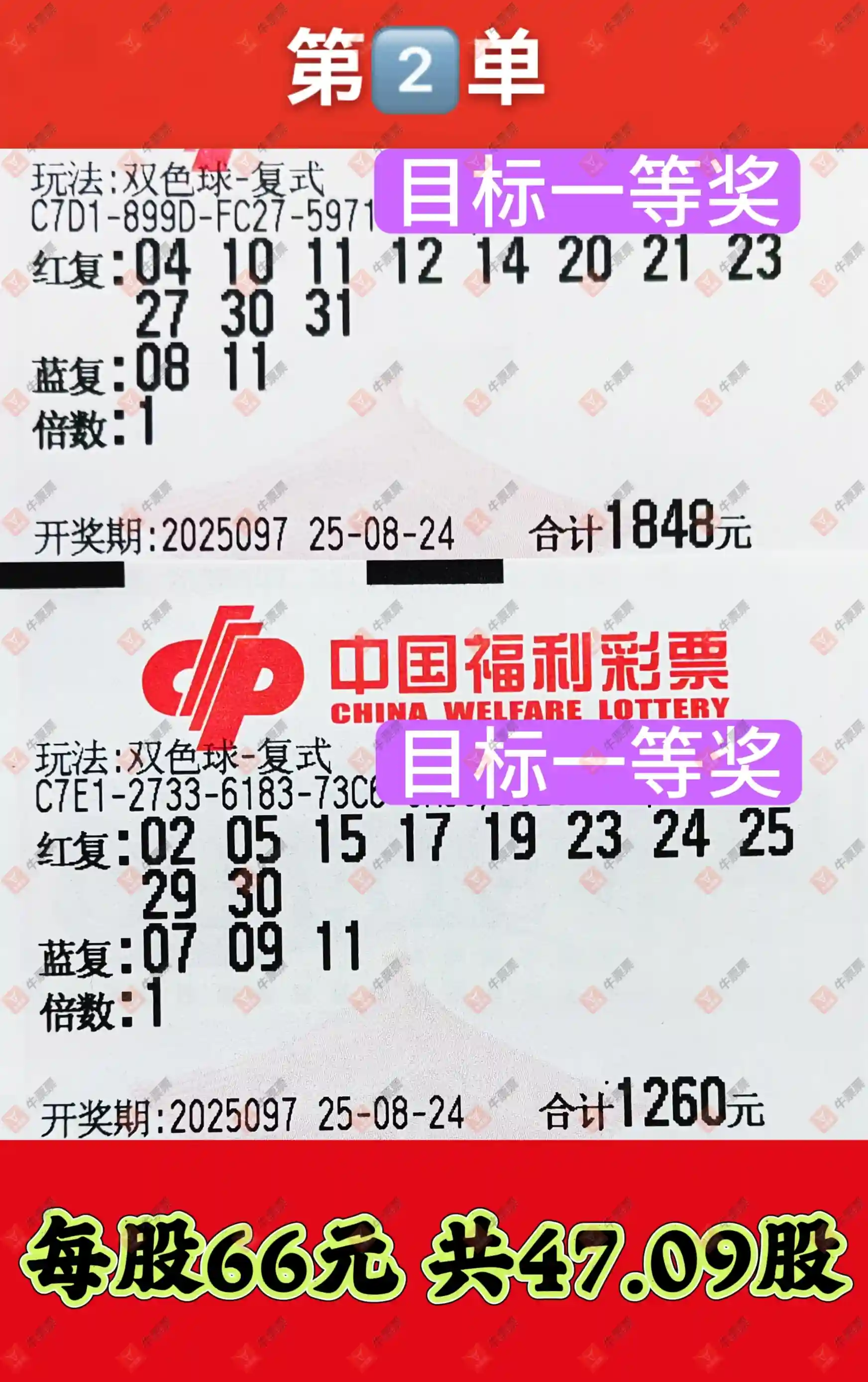 牛票票