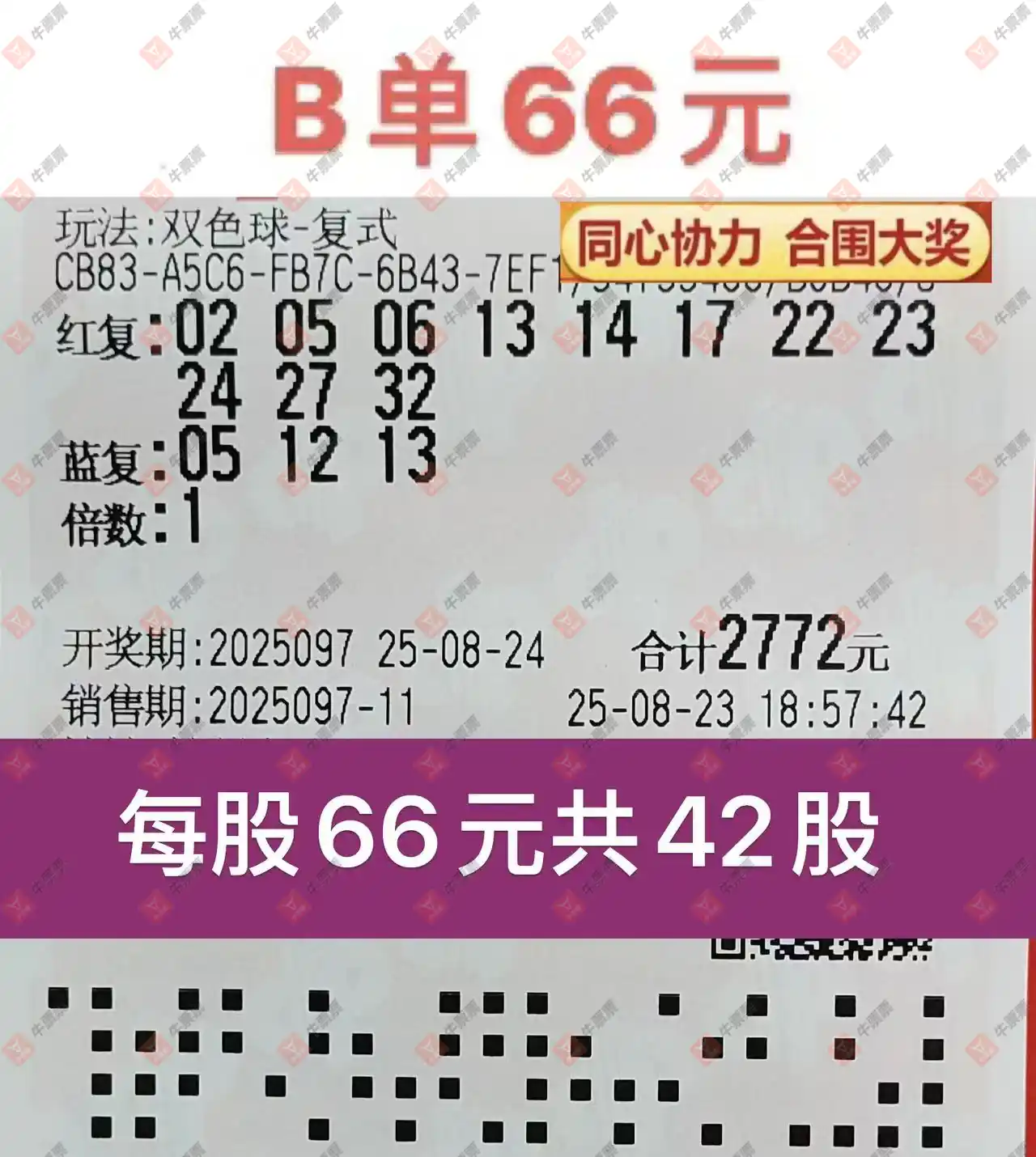 牛票票