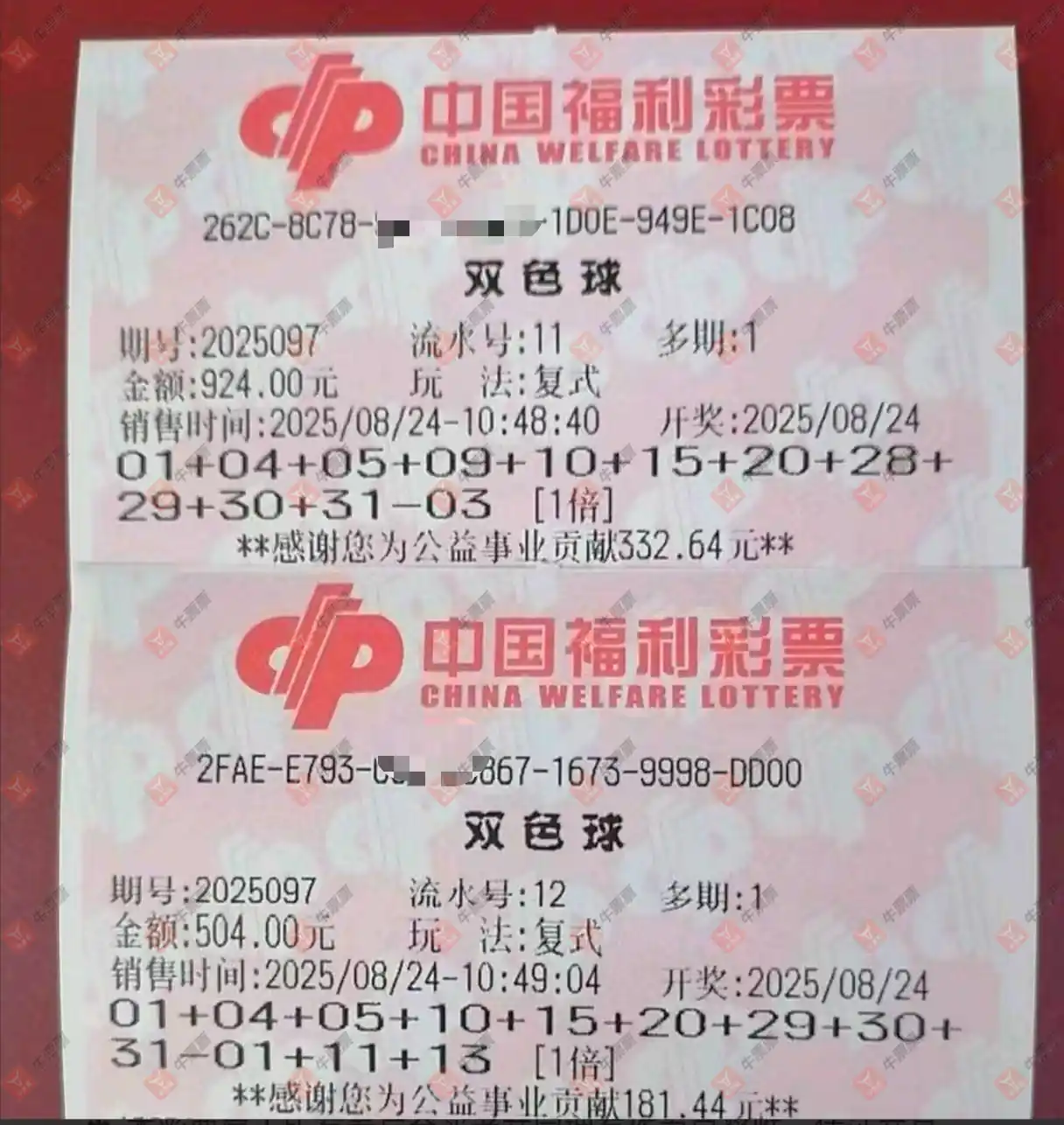 牛票票