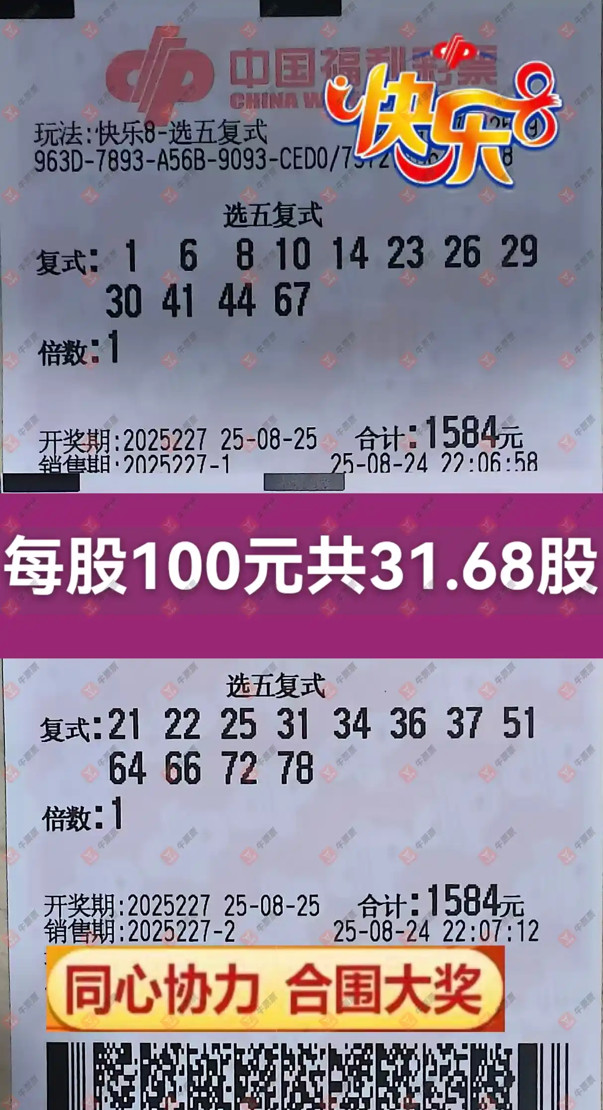 牛票票