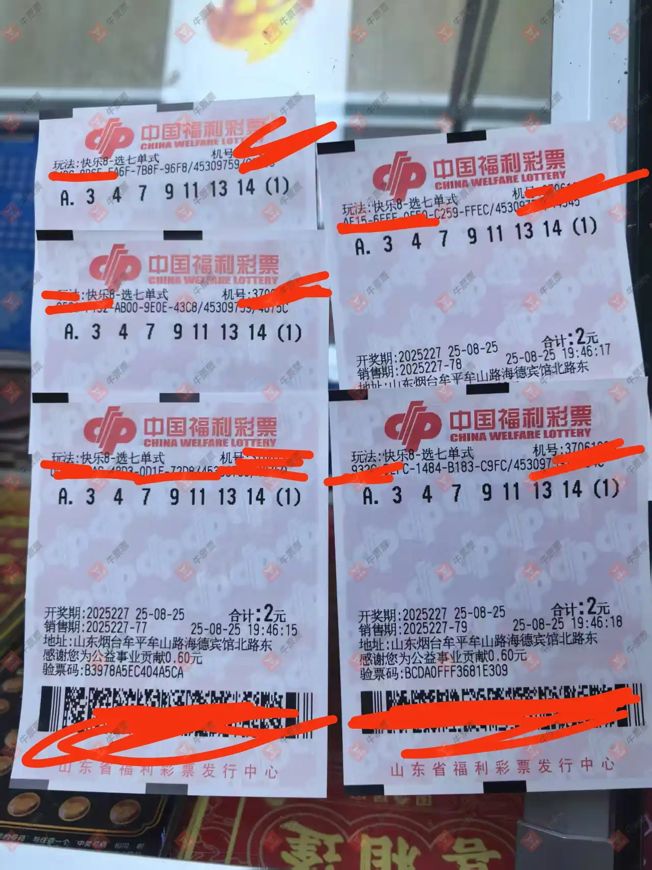 牛票票