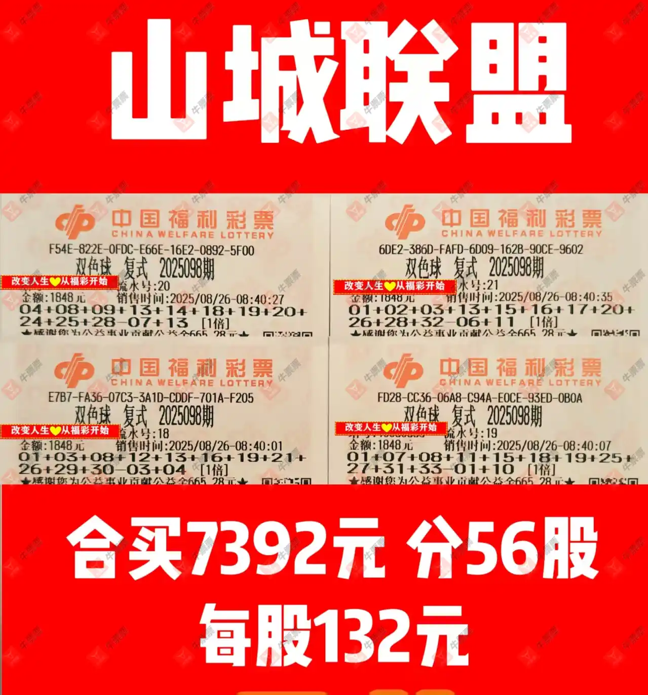 牛票票
