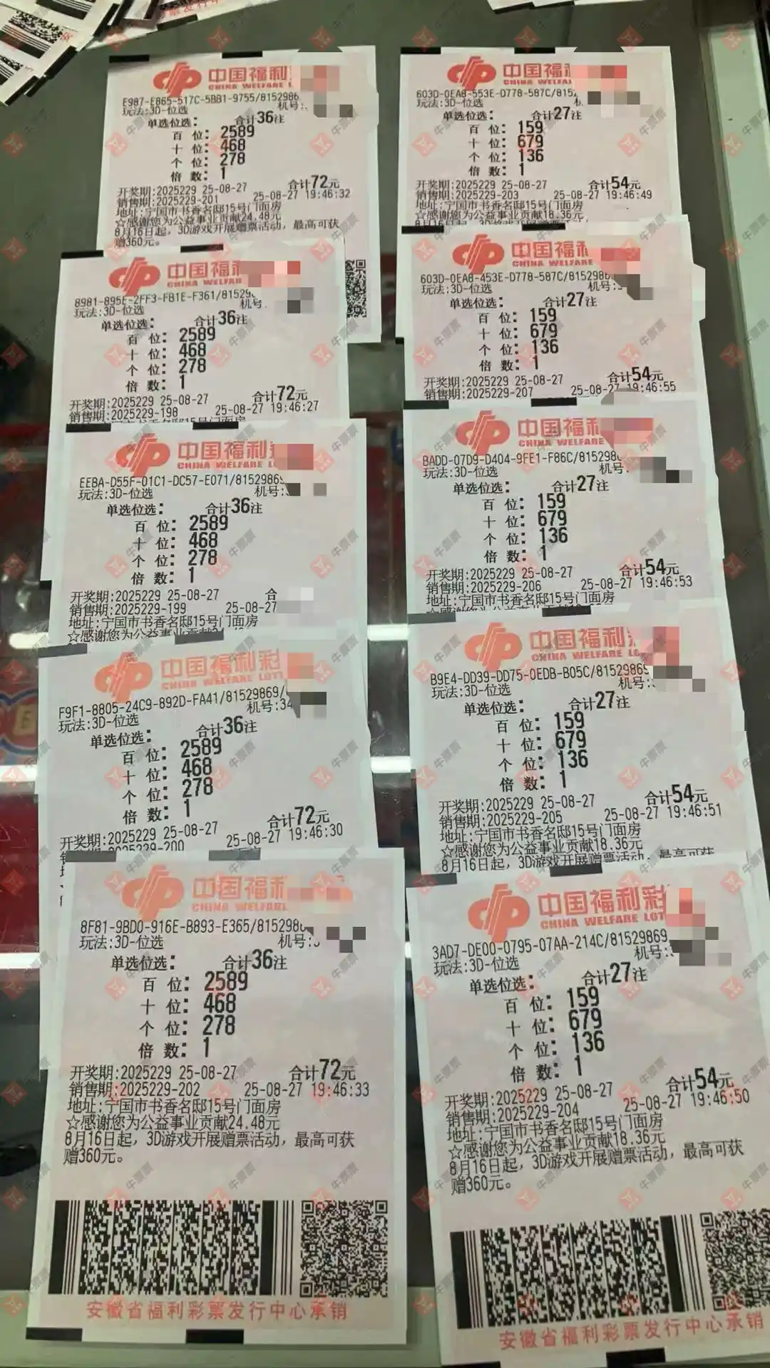 牛票票