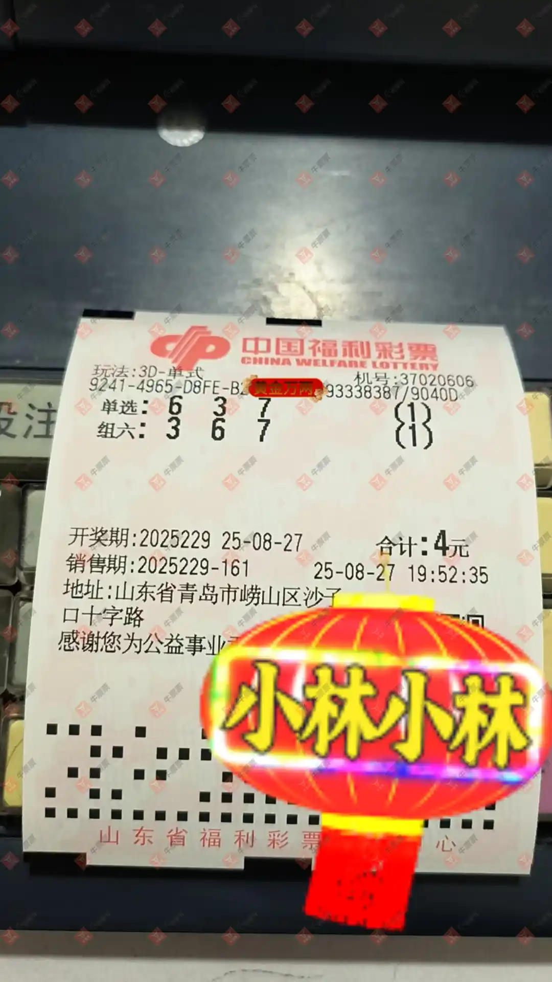 牛票票