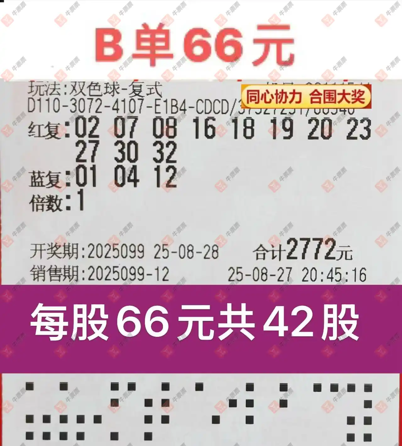 牛票票