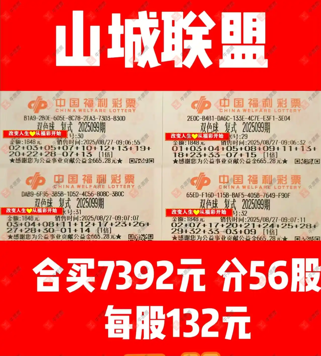 牛票票