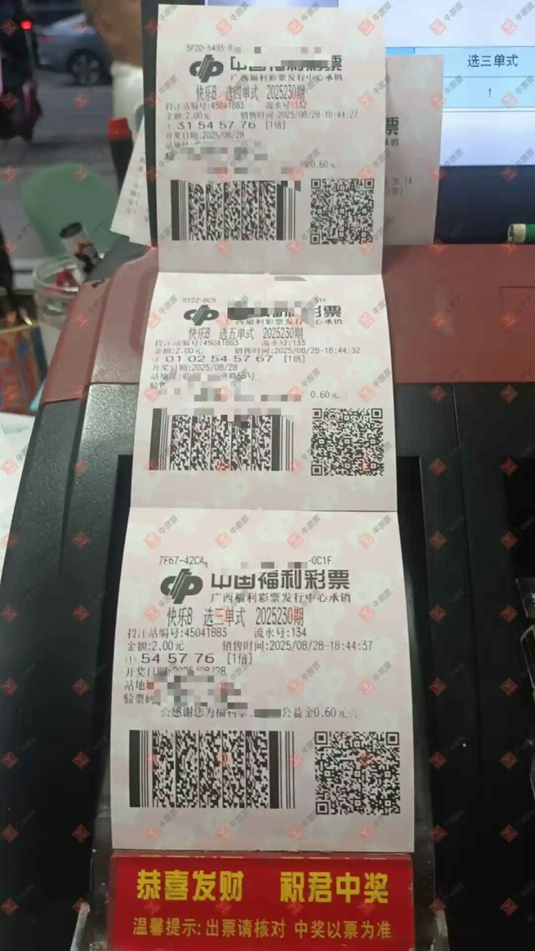 牛票票