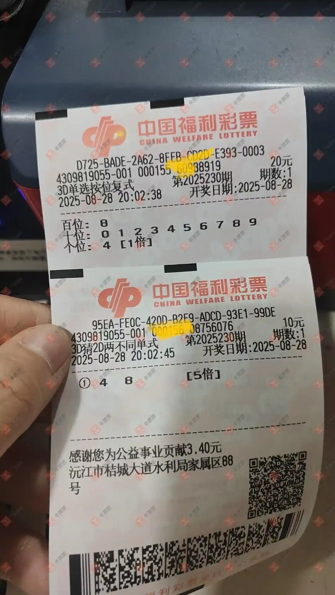牛票票