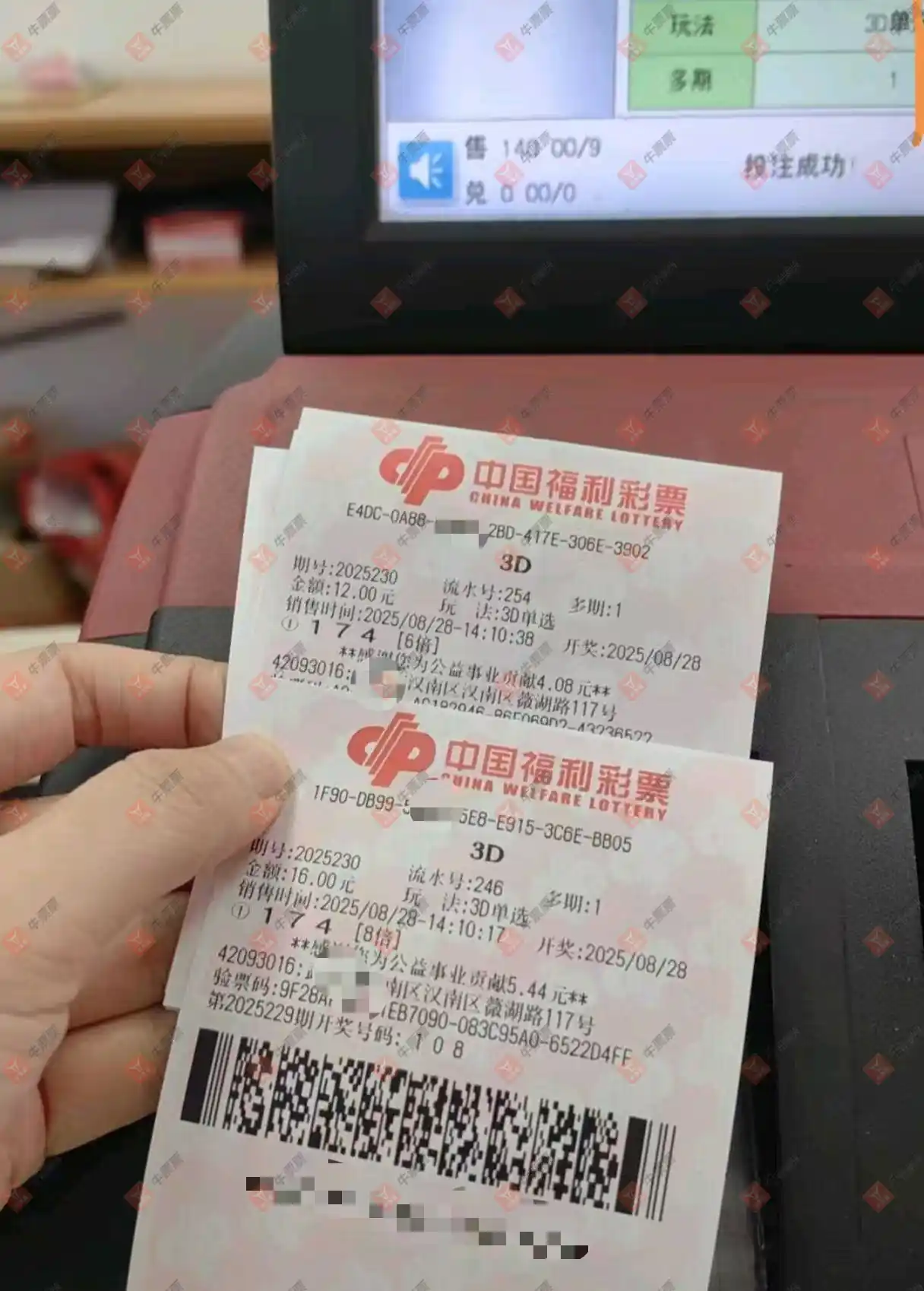 牛票票