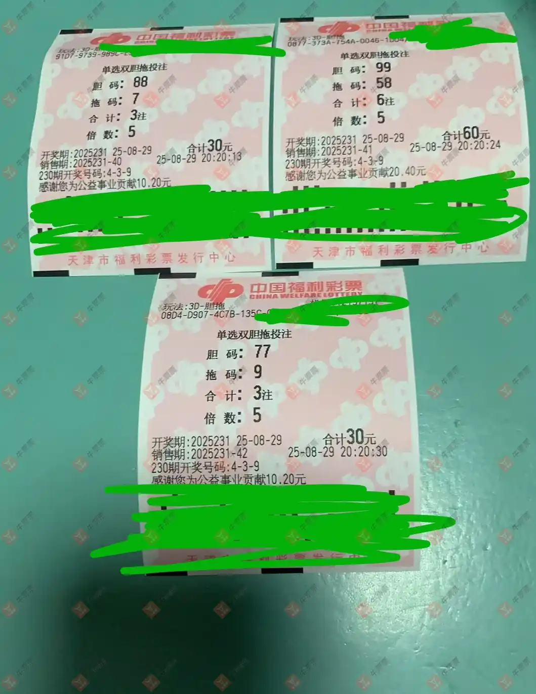 牛票票