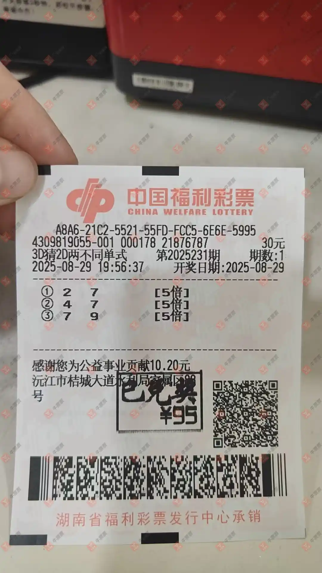 牛票票
