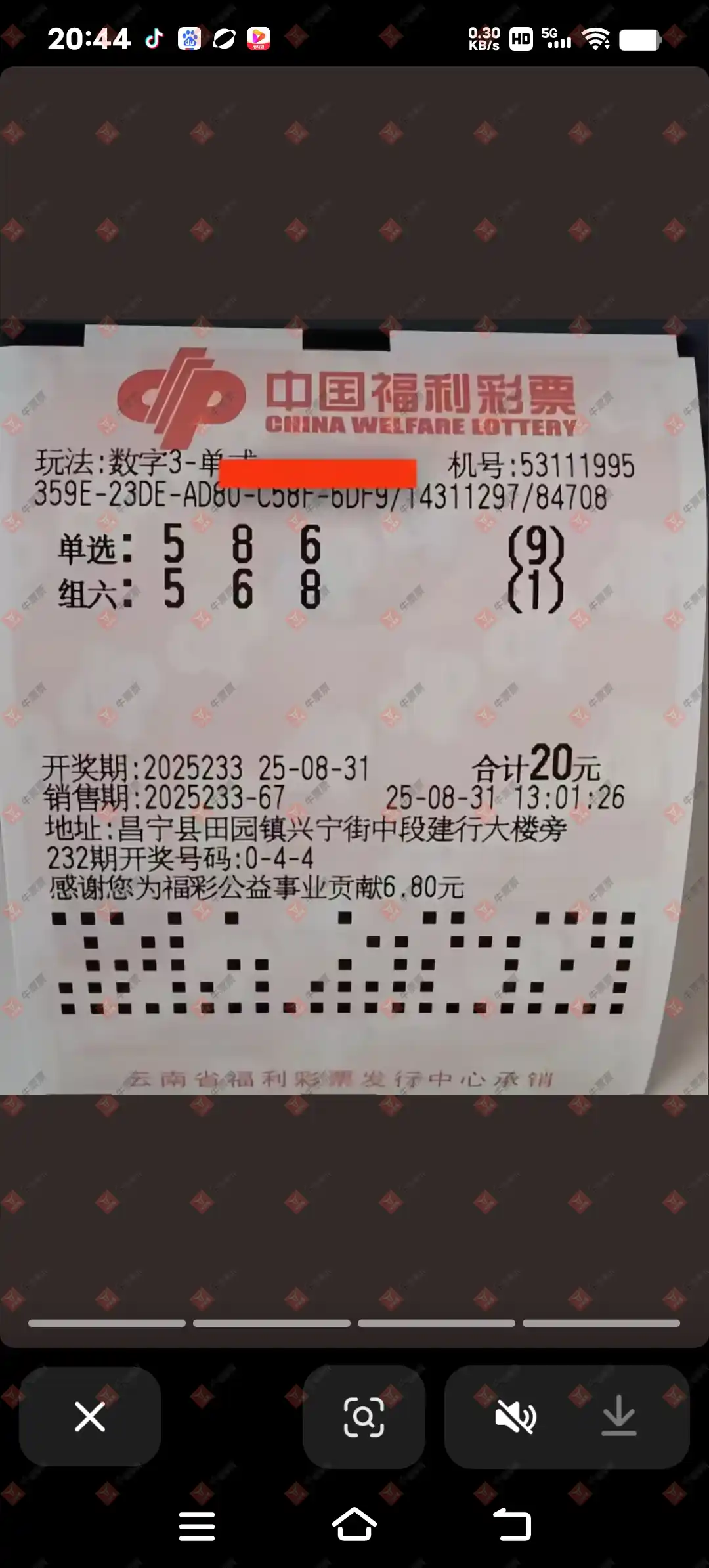 牛票票