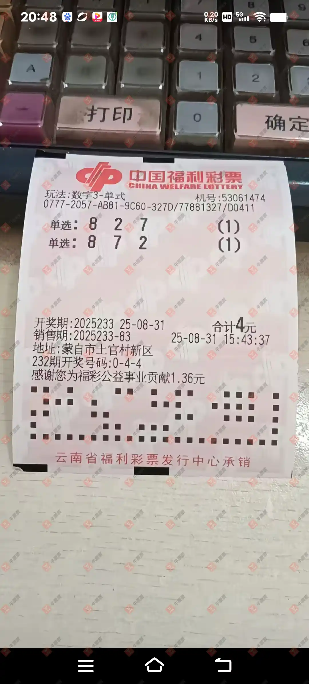牛票票