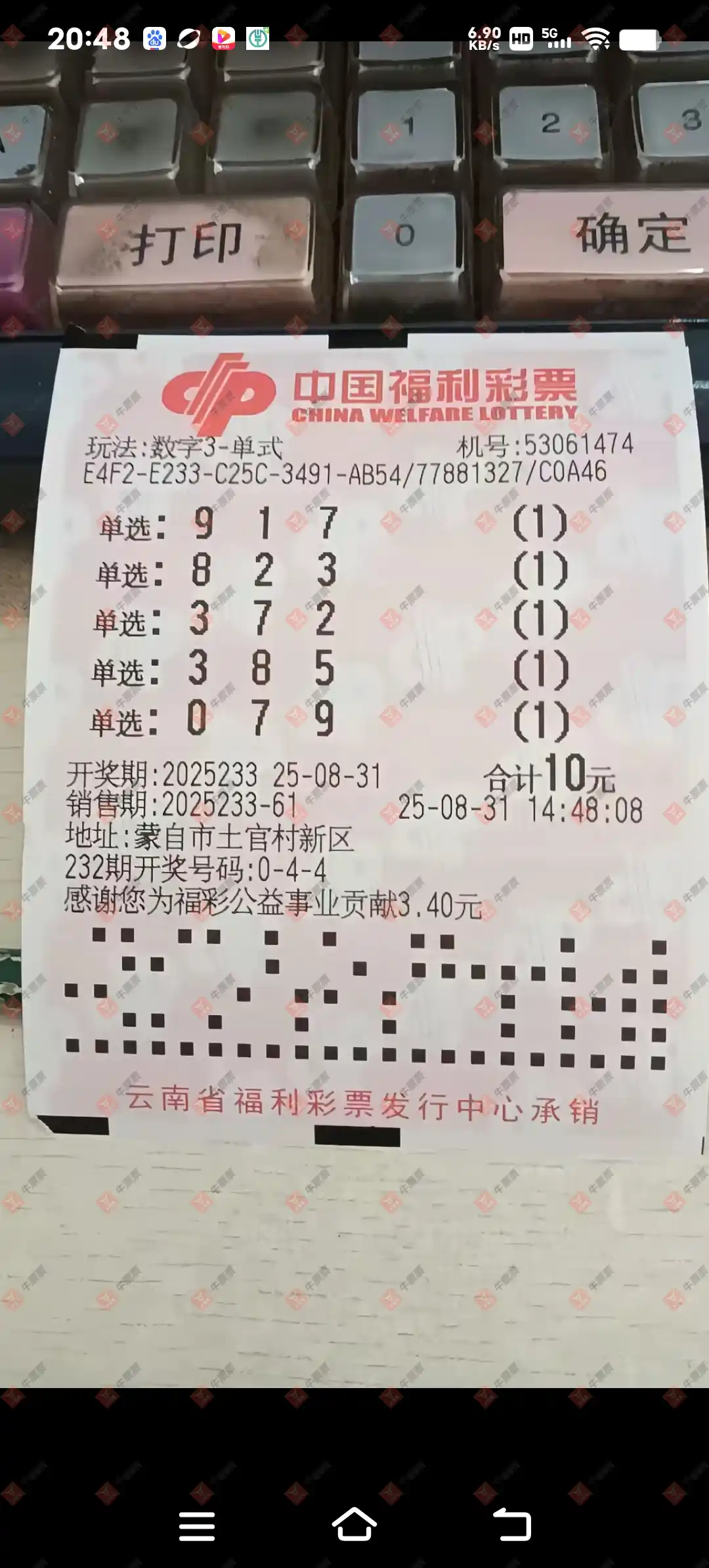 牛票票
