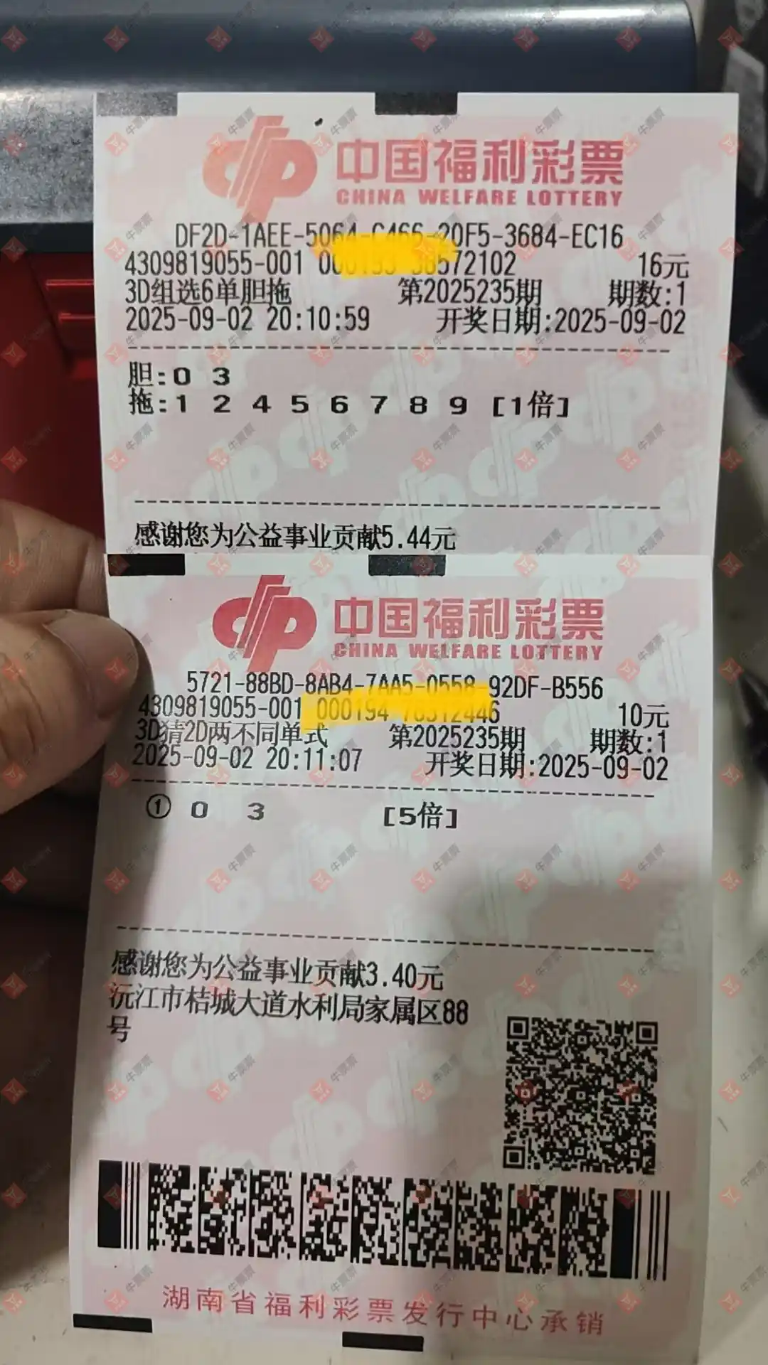 牛票票