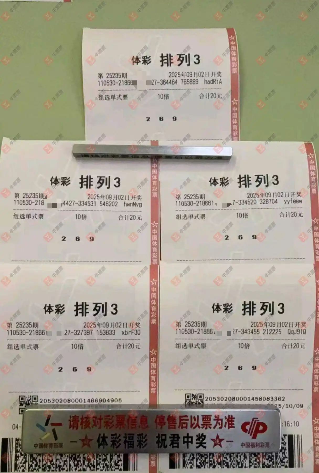 牛票票