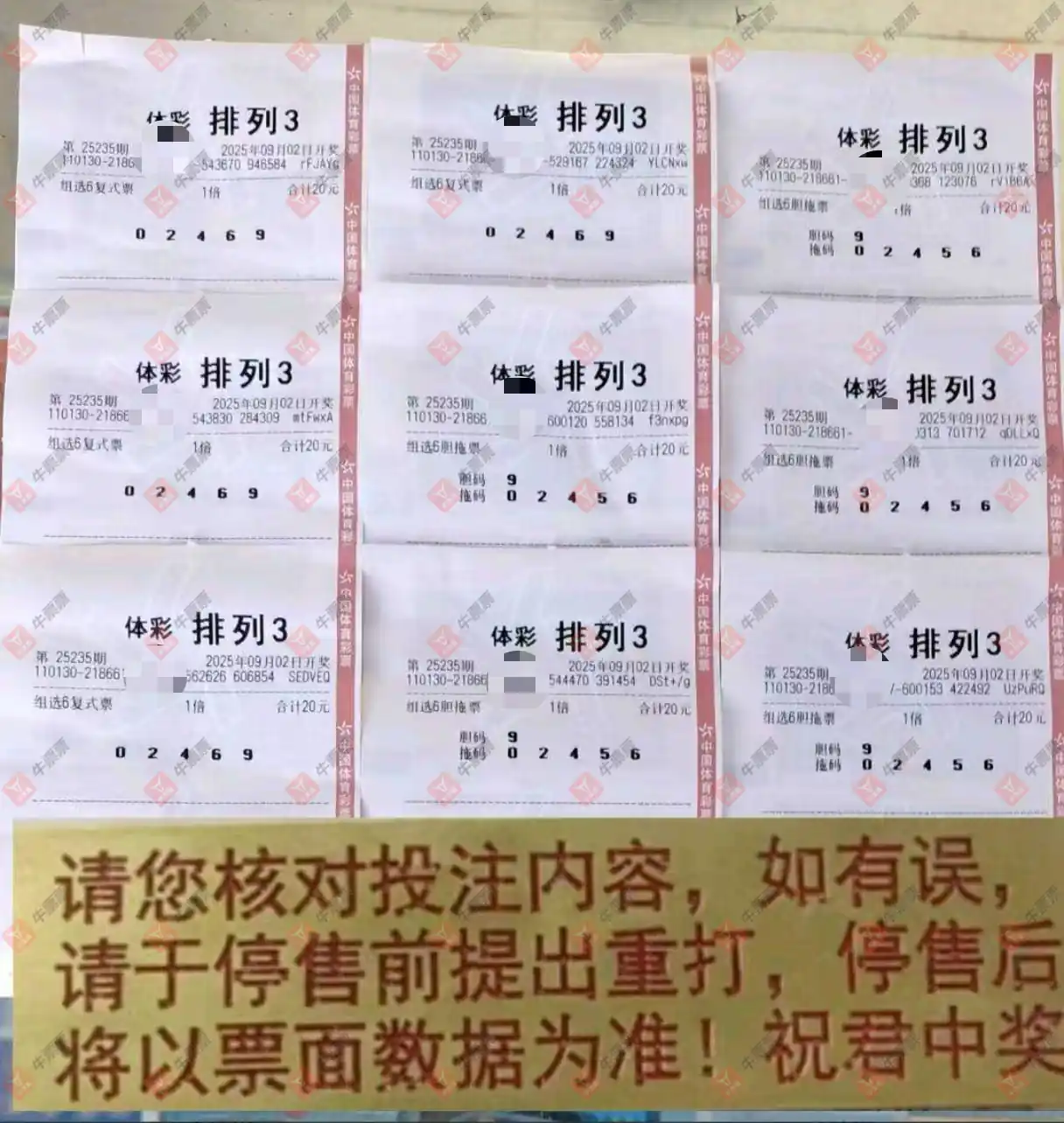牛票票