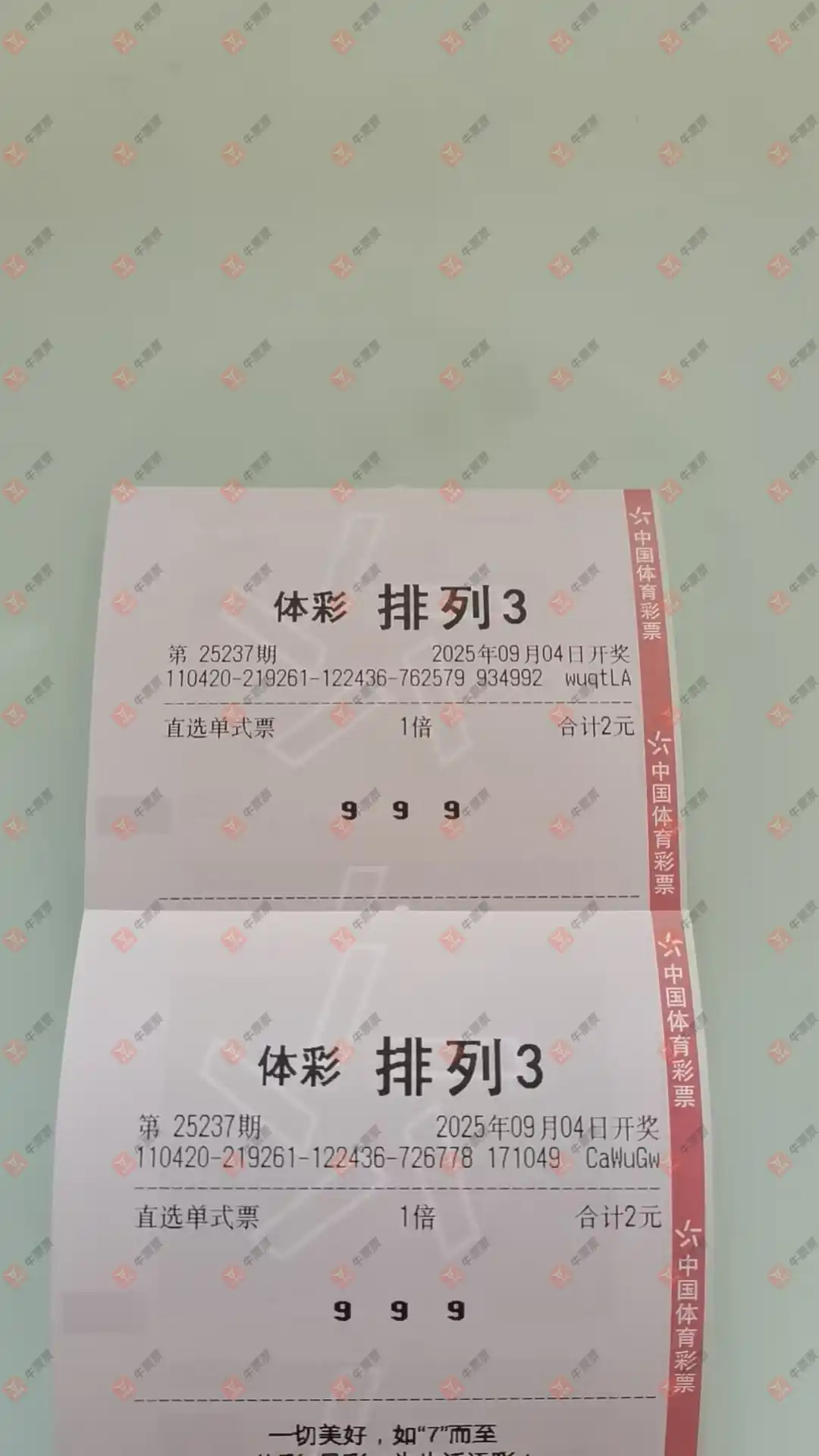牛票票
