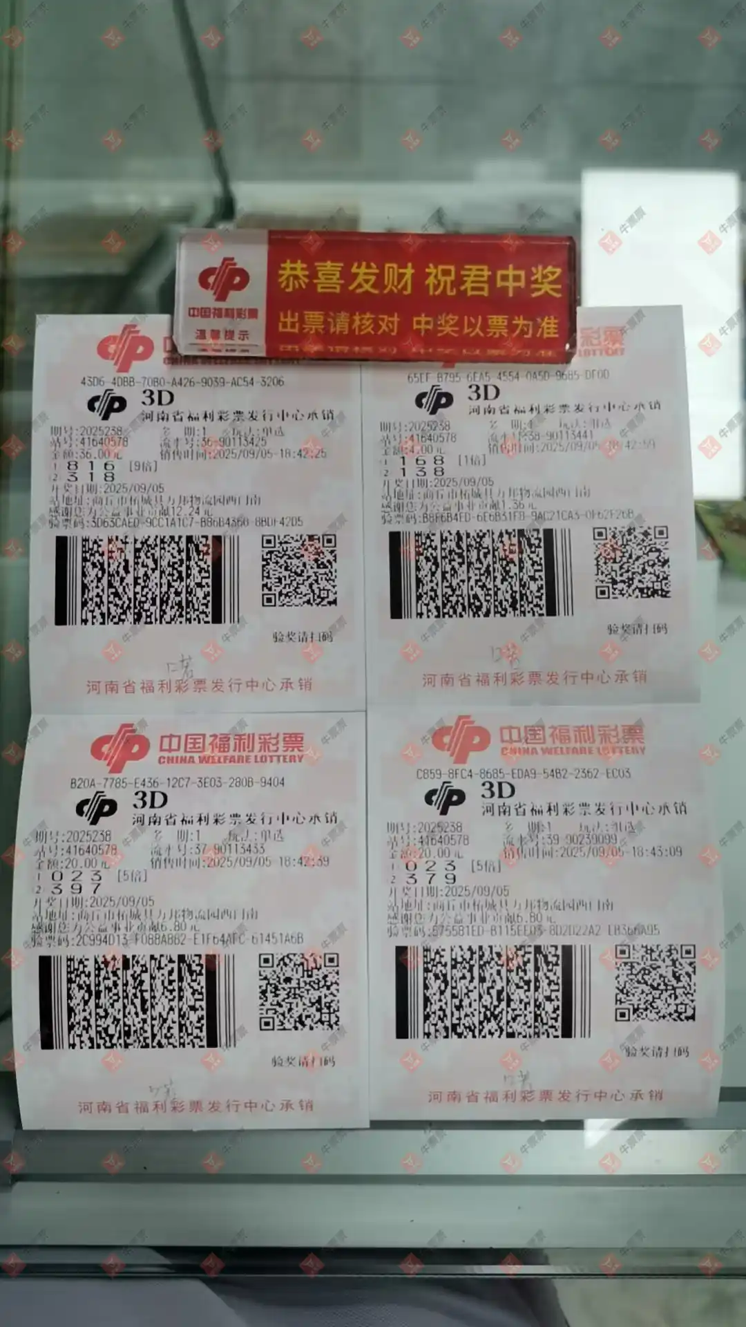 牛票票