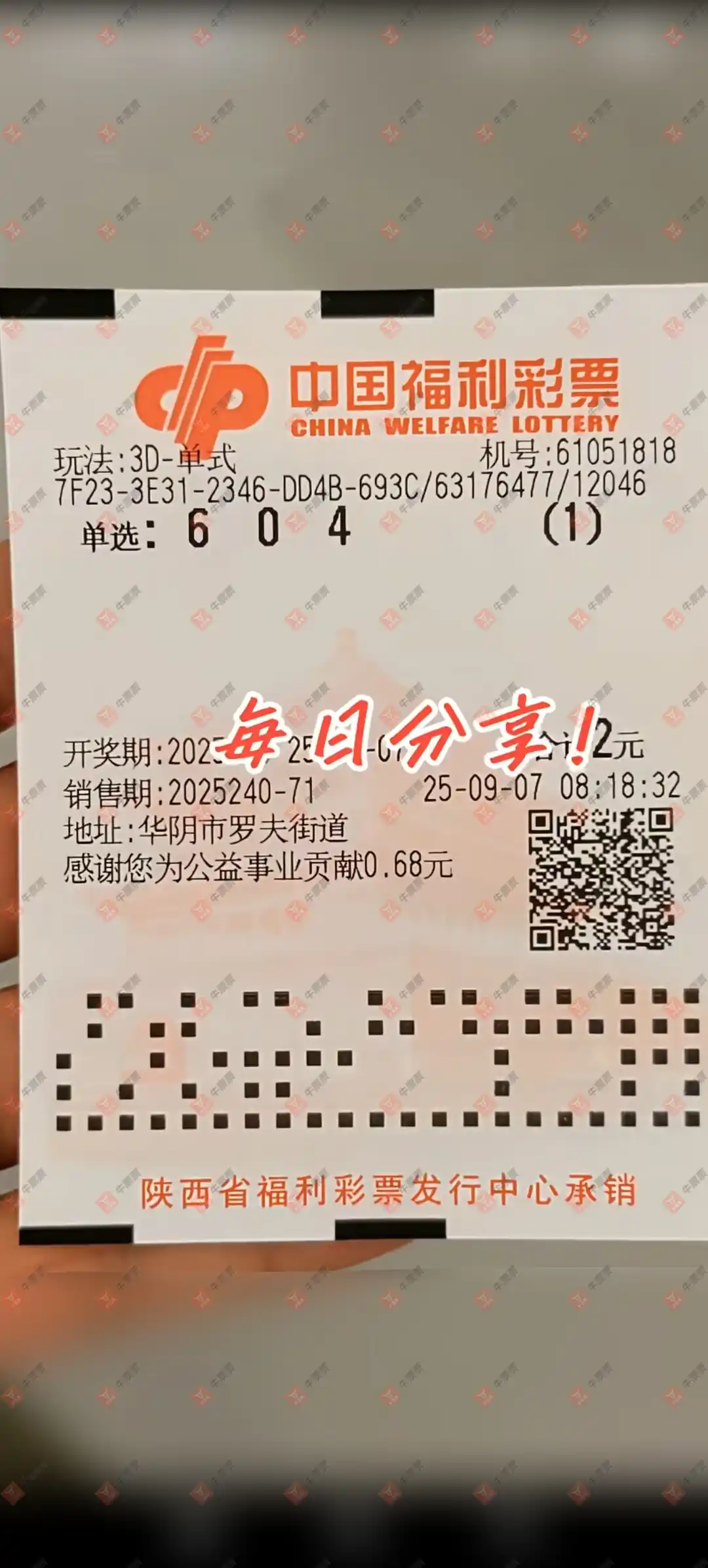 牛票票